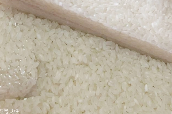 东北大米的价格(东北大米的价格)