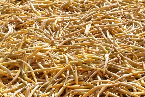 黑木耳炒黄花菜的做法(黑木耳炒黄花菜的做法)