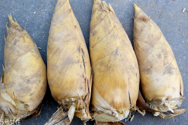 冬笋还能通便(冬笋通便吗)