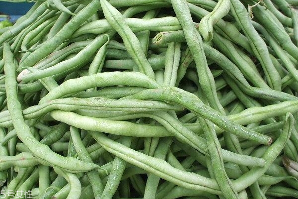 四季豆小知识(什么是四季豆)