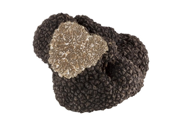 松露的适宜人群(松露有几种)