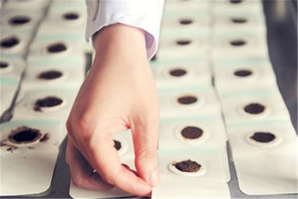 三伏贴注意事项(三伏贴注意事项及禁忌症) 三伏贴注意事项(三伏贴注意事项及禁忌症)