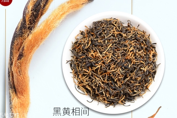 红茶栽培条件(红茶种植条件)