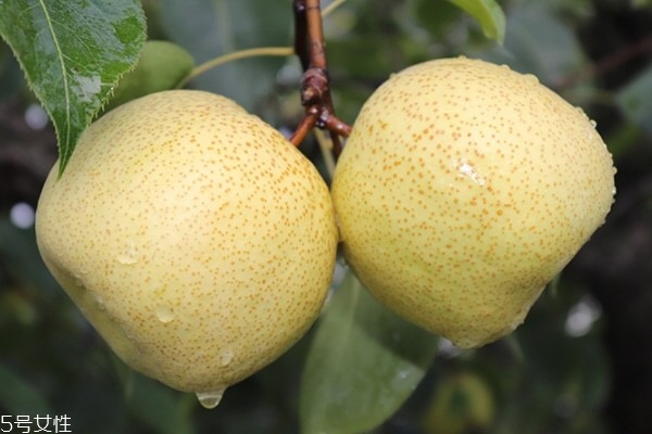 冰点脱毛的优势(冰点脱毛的优势有哪些)