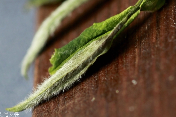 白茶散茶如何存放(散白茶最佳储存方法)