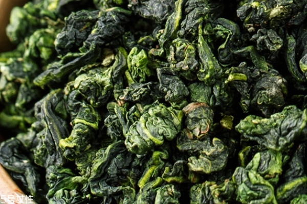 春季喝铁观音好吗(春季喝铁观音好吗)