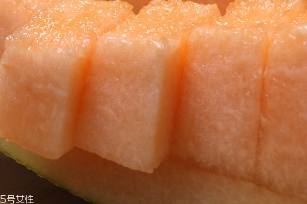 哈密瓜的品种(哈密瓜的品种有哪些)