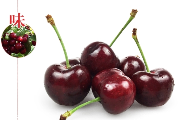 车厘子小知识(车厘子常识)