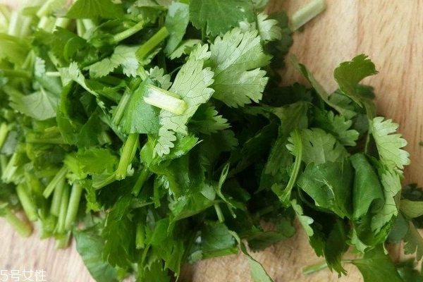 香菜煮水退烧的做法(香菜煮水退烧的做法)