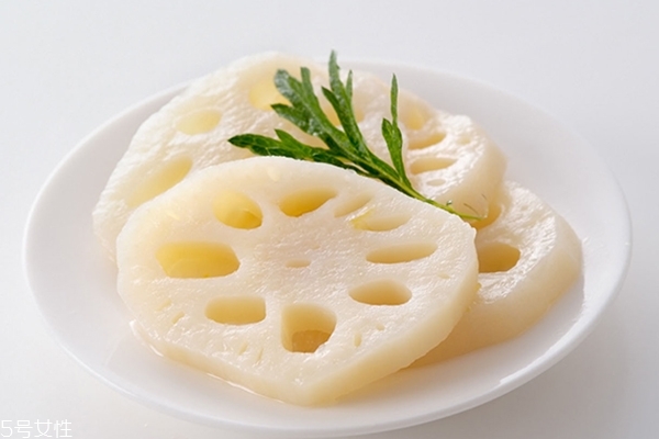 莲藕小知识(莲藕小知识大世界)