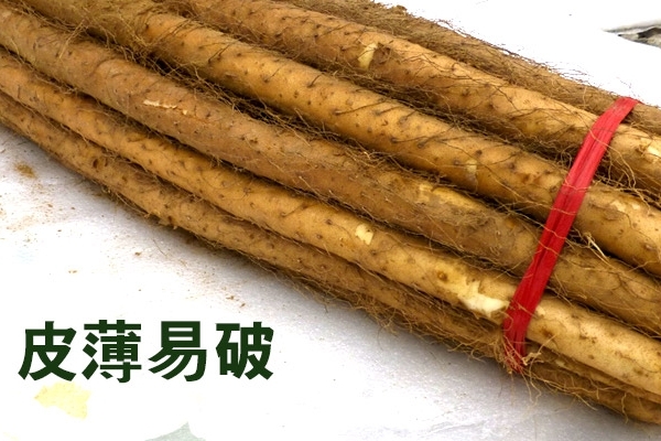 怎么选山药才好(怎样选山药才好) 怎么选山药才好(怎样选山药才好)