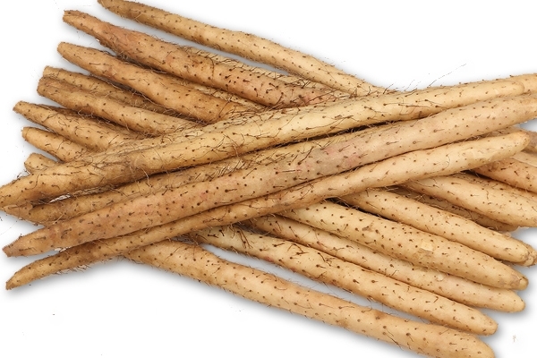 山药小知识(山药小知识)