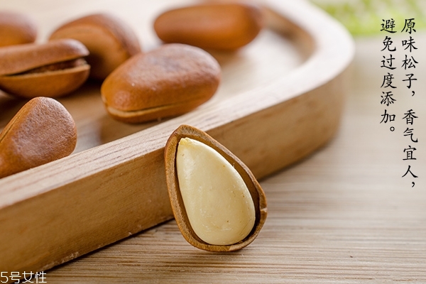 东北松子怎么样(东北的松子)