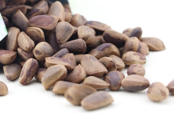 巴西松子怎么样(巴西松子长什么样)