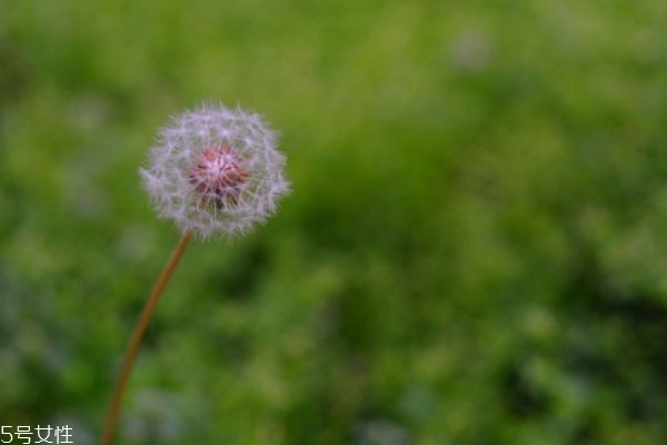 喉咙痛喝什么(喉咙痛喝什么好) 喉咙痛喝什么(喉咙痛喝什么好)