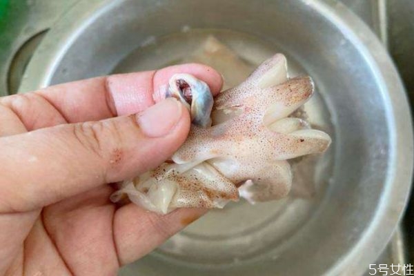 鱿鱼可以怎么存放(鱿鱼怎么存放好)