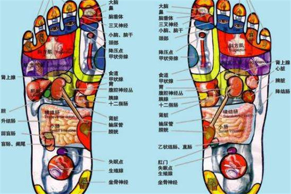 足部养生五字口诀(中医养生五字口诀)