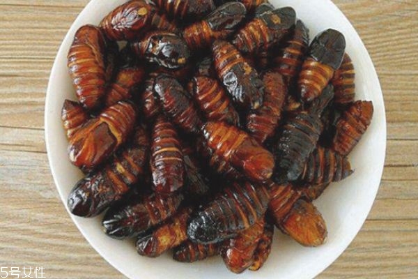 孕妇怎么吃蚕蛹比较好(孕妇吃蚕蛹好吗) 孕妇怎么吃蚕蛹比较好(孕妇吃蚕蛹好吗)