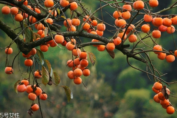 针灸治疗失眠有效吗(针灸对失眠治疗有效吗?)