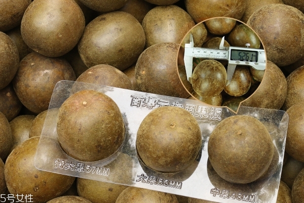是不是所有罗汉果都这么甜(罗汉果怎么这么甜)