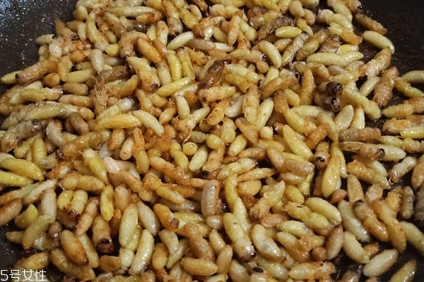 蜂蛹的食用禁忌(蜂蛹的食用禁忌)