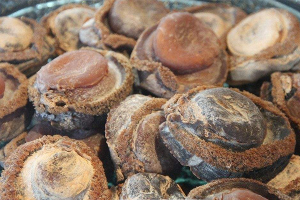 干鲍鱼怎么看真假(真假鲍鱼干的辨别) 干鲍鱼怎么看真假(真假鲍鱼干的辨别)