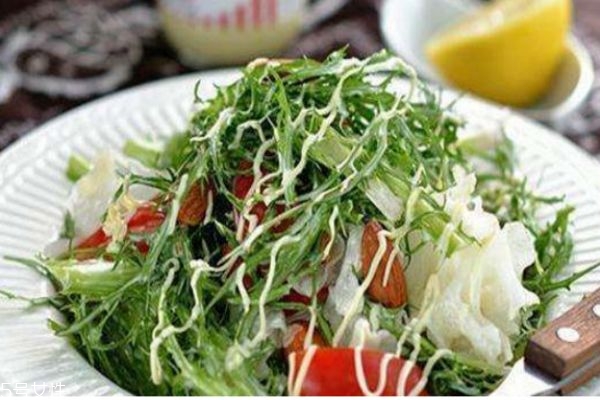 油皮适合什么粉底液(油皮适合用什么粉底液)