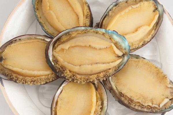 干鲍鱼注意事项(鲍鱼清洗注意事项) 干鲍鱼注意事项(鲍鱼清洗注意事项)