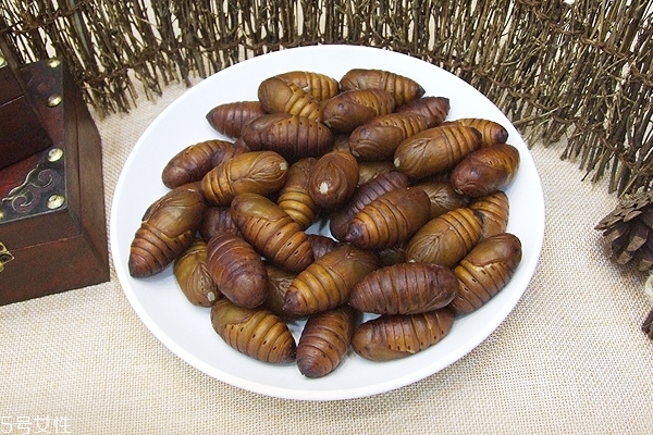 蚕蛹小知识(什么是蚕蛹) 蚕蛹小知识(什么是蚕蛹)