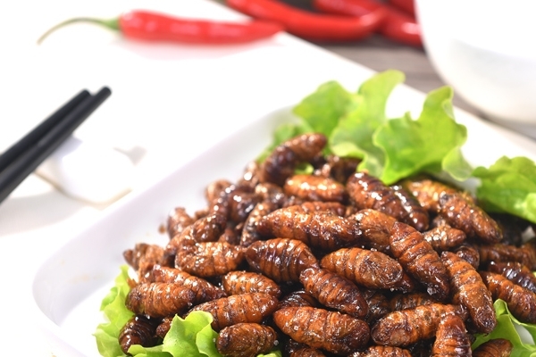 孕妇吃些蚕蛹有什么好处(孕妇吃蚕蛹好吗)