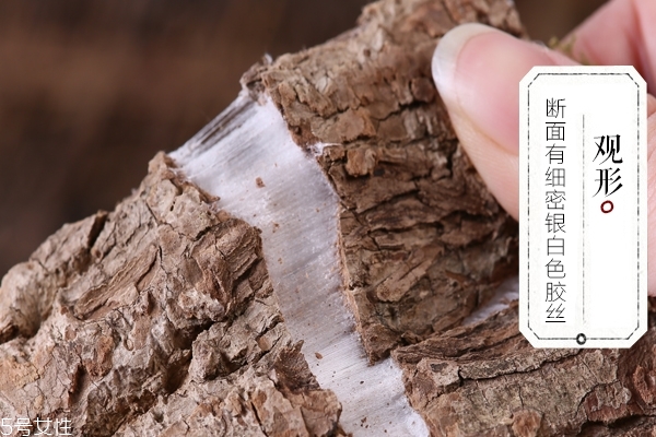 杜仲泡水喝的方法(杜仲泡水喝的方法) 杜仲泡水喝的方法(杜仲泡水喝的方法)