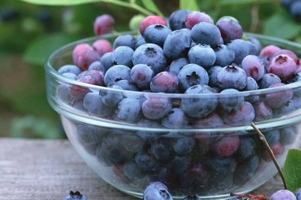 蓝莓怎么泡酒(蓝莓怎么泡酒最好喝)