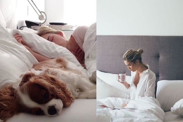 失眠原因有哪些(失眠原因有哪些)