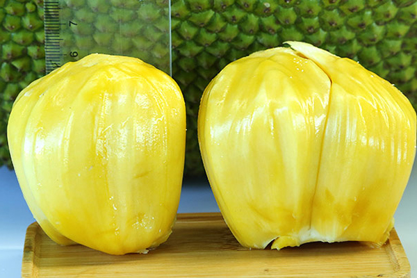 菠萝蜜哪些人不适宜吃(菠萝蜜哪些人不适宜吃)