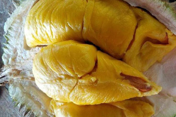 榴莲可以治痛经吗(榴莲可以治痛经吗)