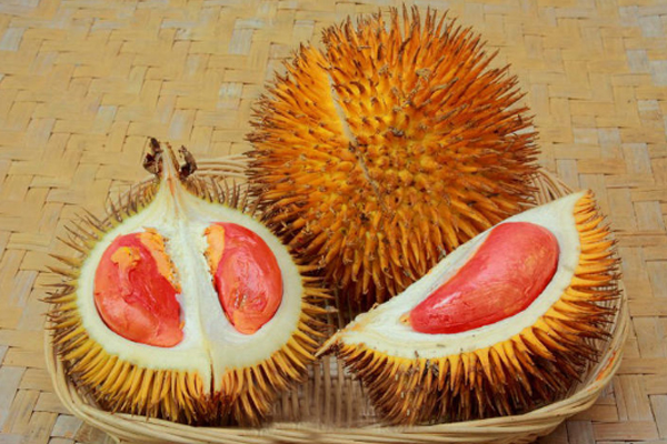 榴莲适合孕妇吃吗(榴莲适合孕妇吃吗)