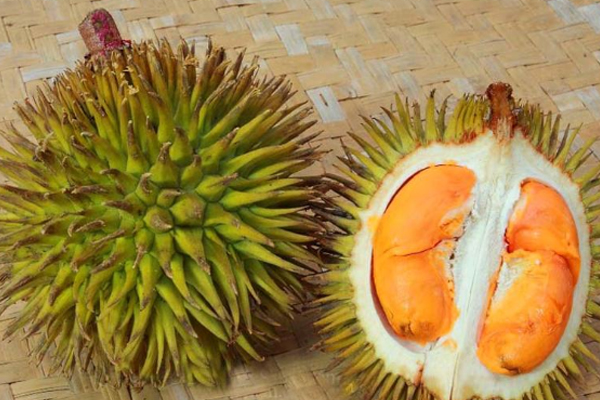 一个榴莲大概多少钱(榴莲多少钱一斤现在市场价)
