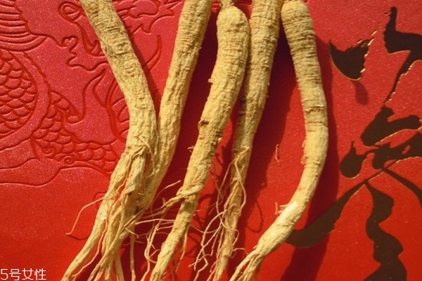 野山参的食用方法(新鲜野山参功效和作用及食用方法) 野山参的食用方法(新鲜野山参功效和作用及食用方法)