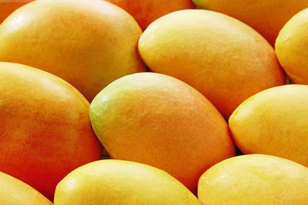 吃芒果的好处和坏处(芒果有什么好处有什么坏处)