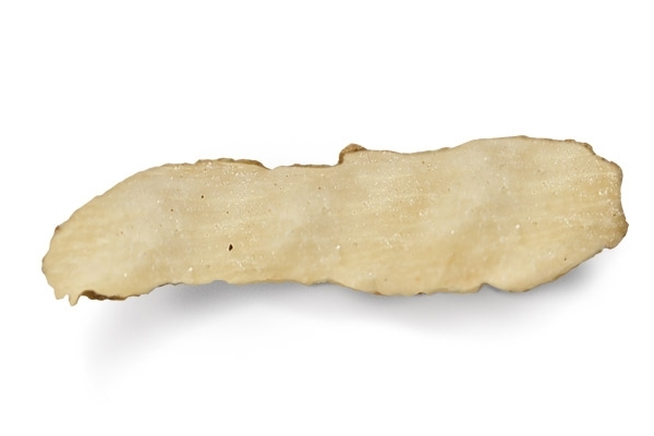 玉竹小知识(玉竹有什么用)