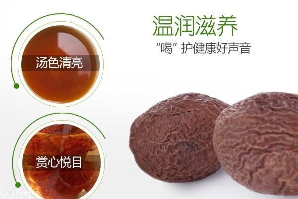 胖大海的特征(胖大海的特征)