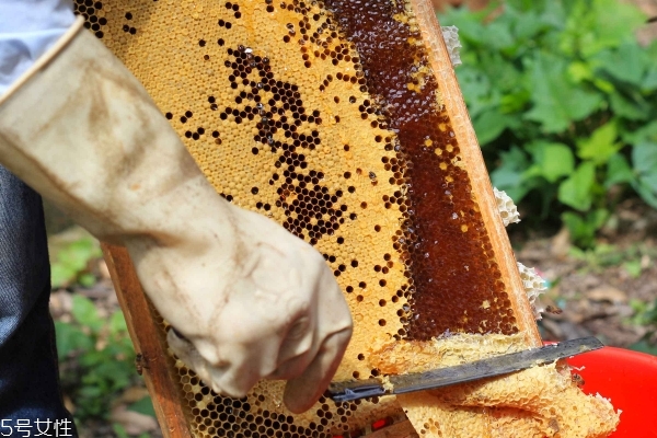 桂花蜜的美容效果(桂花蜜作用)