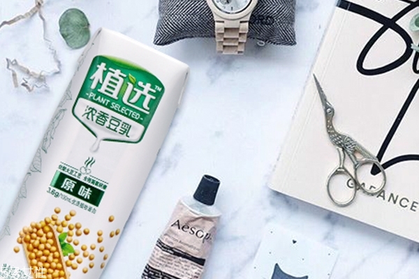 豆奶生产制作的方法(豆奶的制作过程)