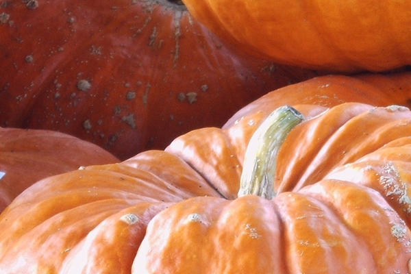 水红色口红推荐(水红色口红推荐) 水红色口红推荐(水红色口红推荐)