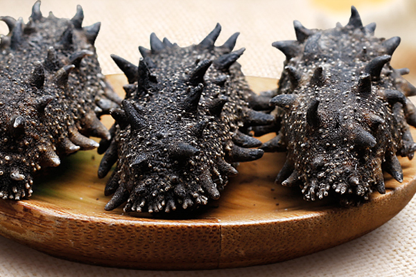 海参怎么做好吃(海参怎么做好吃又有营养)