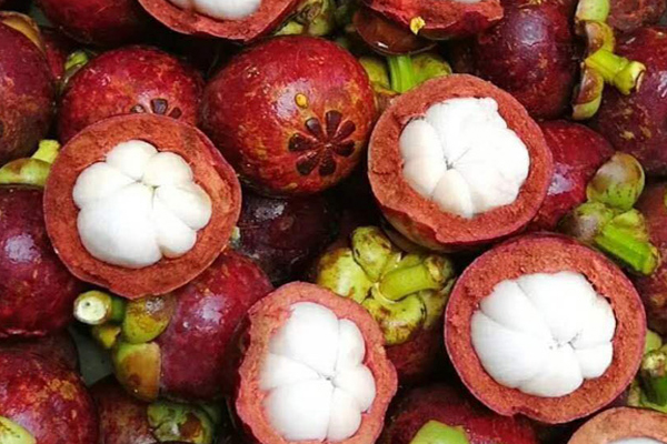 山竹软的好还是硬的好(山竹软的好还是硬的好?)