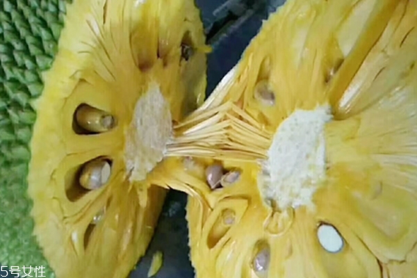 菠萝蜜小知识(关于菠萝蜜的知识) 菠萝蜜小知识(关于菠萝蜜的知识)