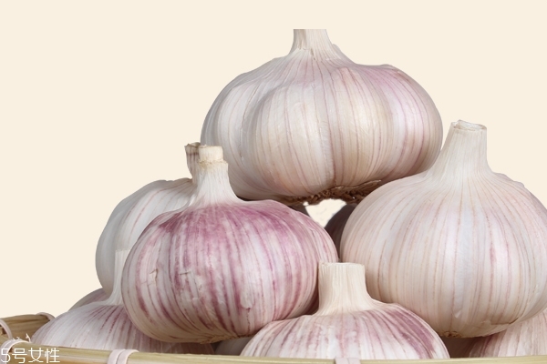 大蒜的作用(大蒜的作用和功效)