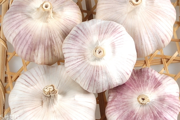 大蒜的功效(大蒜的功效和作用有哪些) 大蒜的功效(大蒜的功效和作用有哪些)