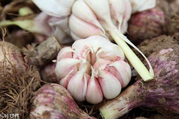 大蒜的好处和害处是什么(大蒜的好处和害处是什么?)